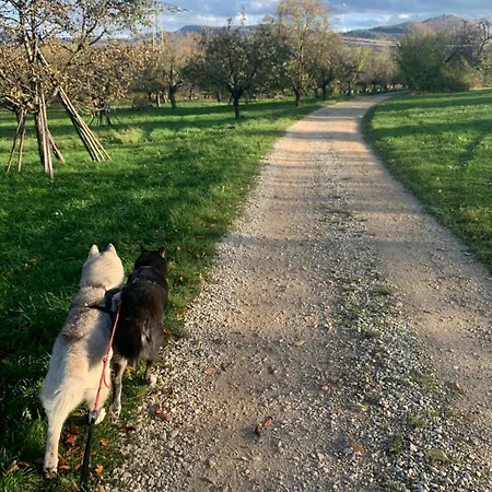 펜션 Auszeit Deluxe *